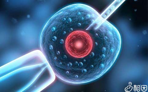 医生